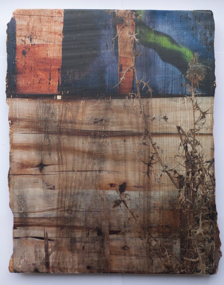 “Madera 7, Serie Ruptura” 2016-2017